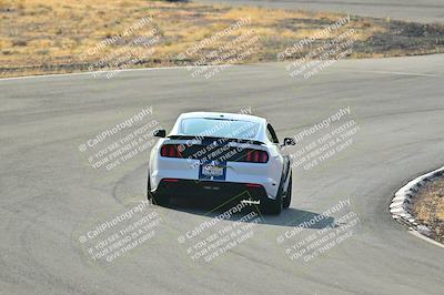 media/Feb-01-2025-Turn8 Trackdays (Sat) [[5681b0f63a]]/Inter 2/Session 1 (Turns 4b and 5)/